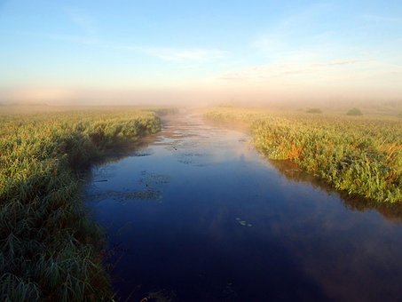 Поток, Берег Реки, Завтра, Тихий, Вода