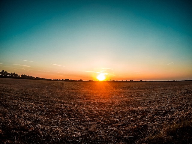 Free Sunset Field photo and picture
