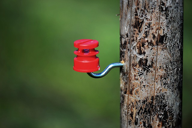 Download free HD stock image of Pasture Fence Post Free Pasture Fence Post photo and picture