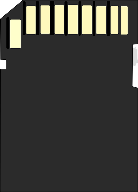 Free memory card data carrier flash memory vector