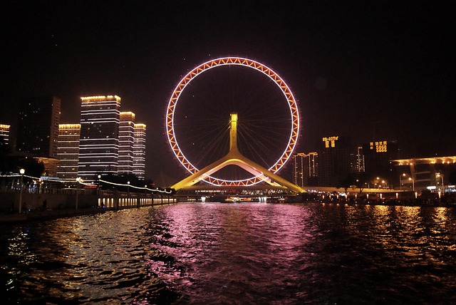 Free Ferris Wheel Night photo and picture