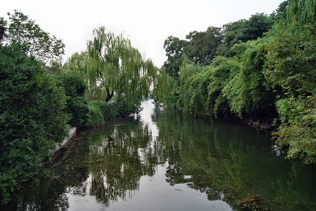 Free Garden Pond photo and picture