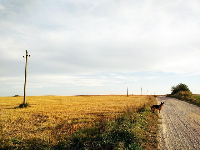 Free Lithuania Country photo and picture