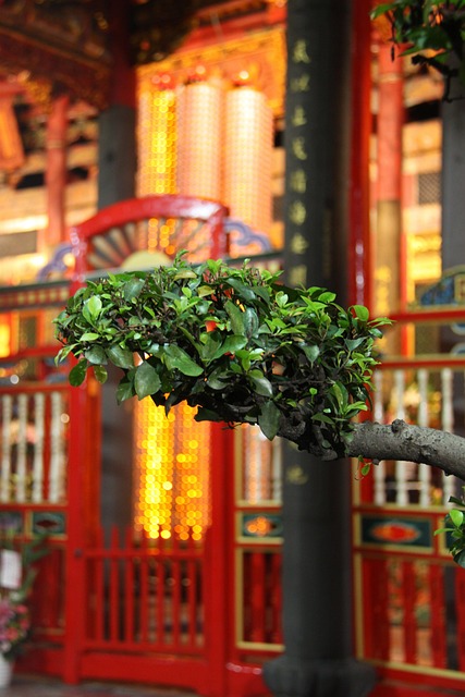 Free Taiwan Temple photo and picture