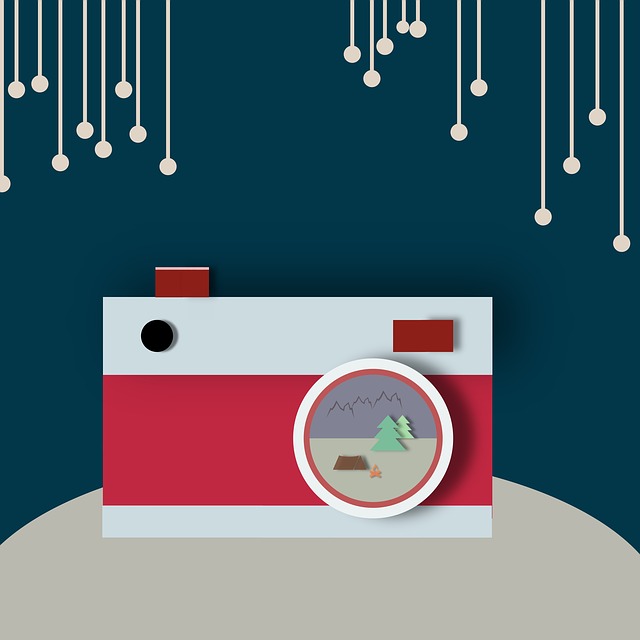 Free Camera Vector Illustration illustration and picture