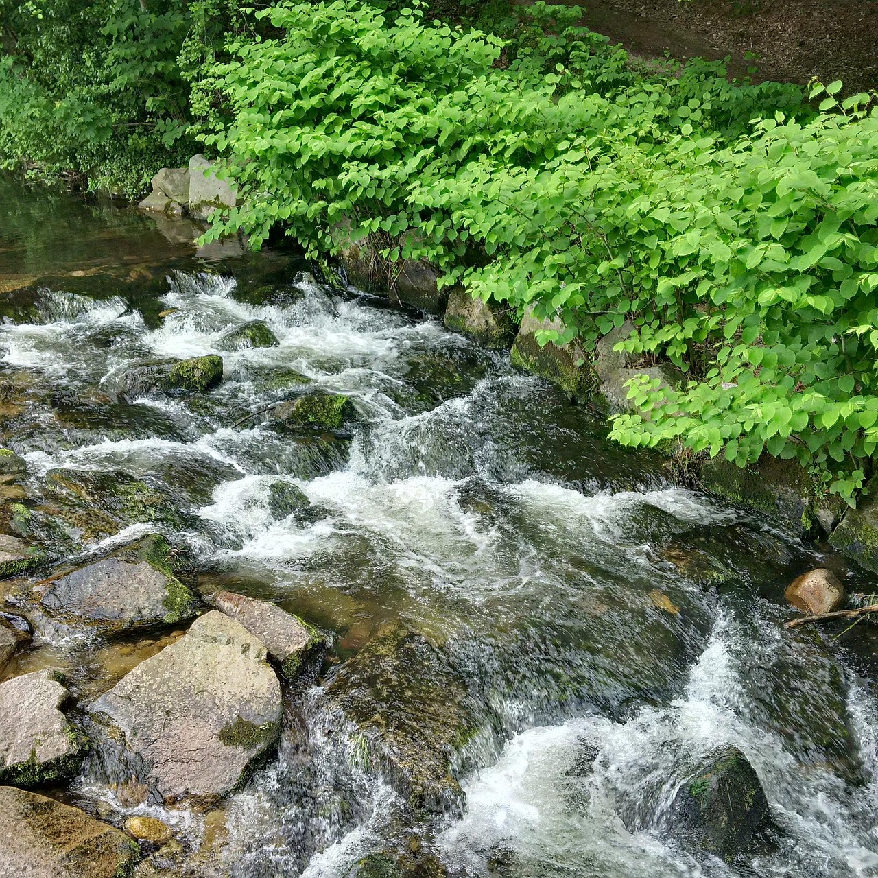 フロー 流暢です 流れる水 - Pixabayの無料写真 - Pixabay