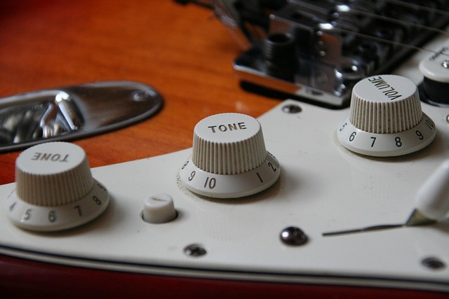 Free Guitar Electric Guitar photo and picture