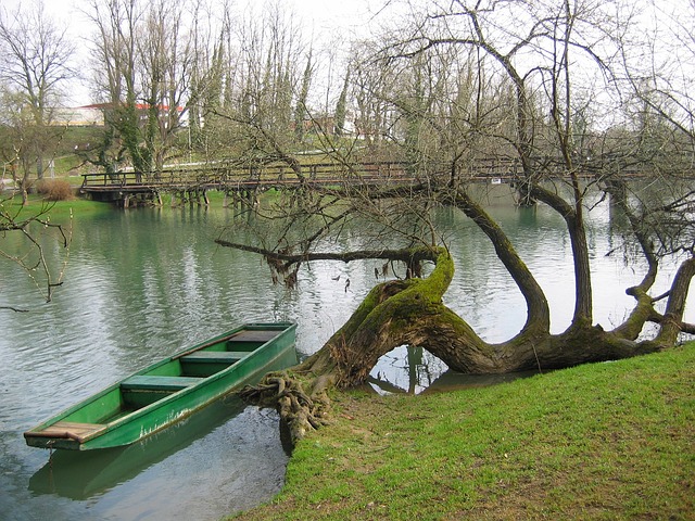 Free Slovenia Otocec photo and picture