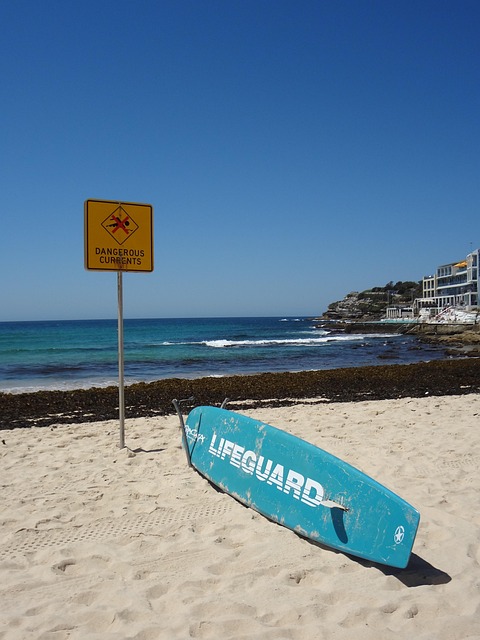 Free Bondi Beach Sydney photo and picture