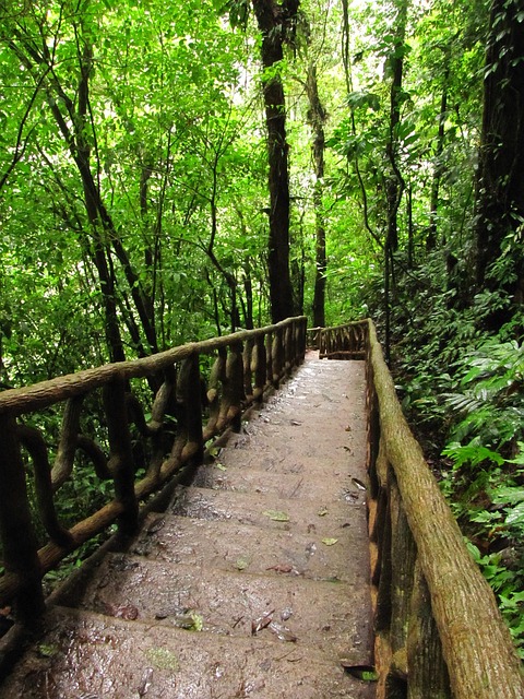 Escaleras, Naturaleza, Rio Celeste