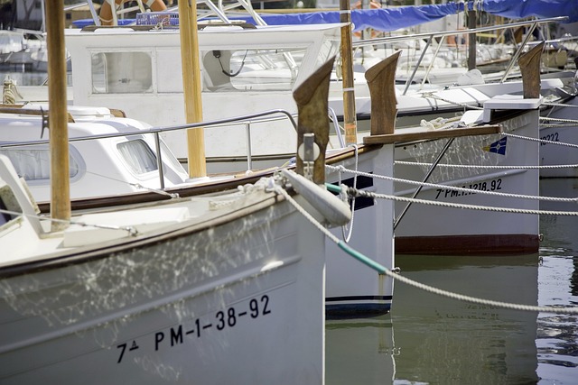 Free Boats Water photo and picture
