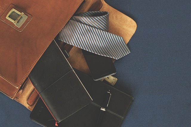 Free Briefcase Leather Goods photo and picture