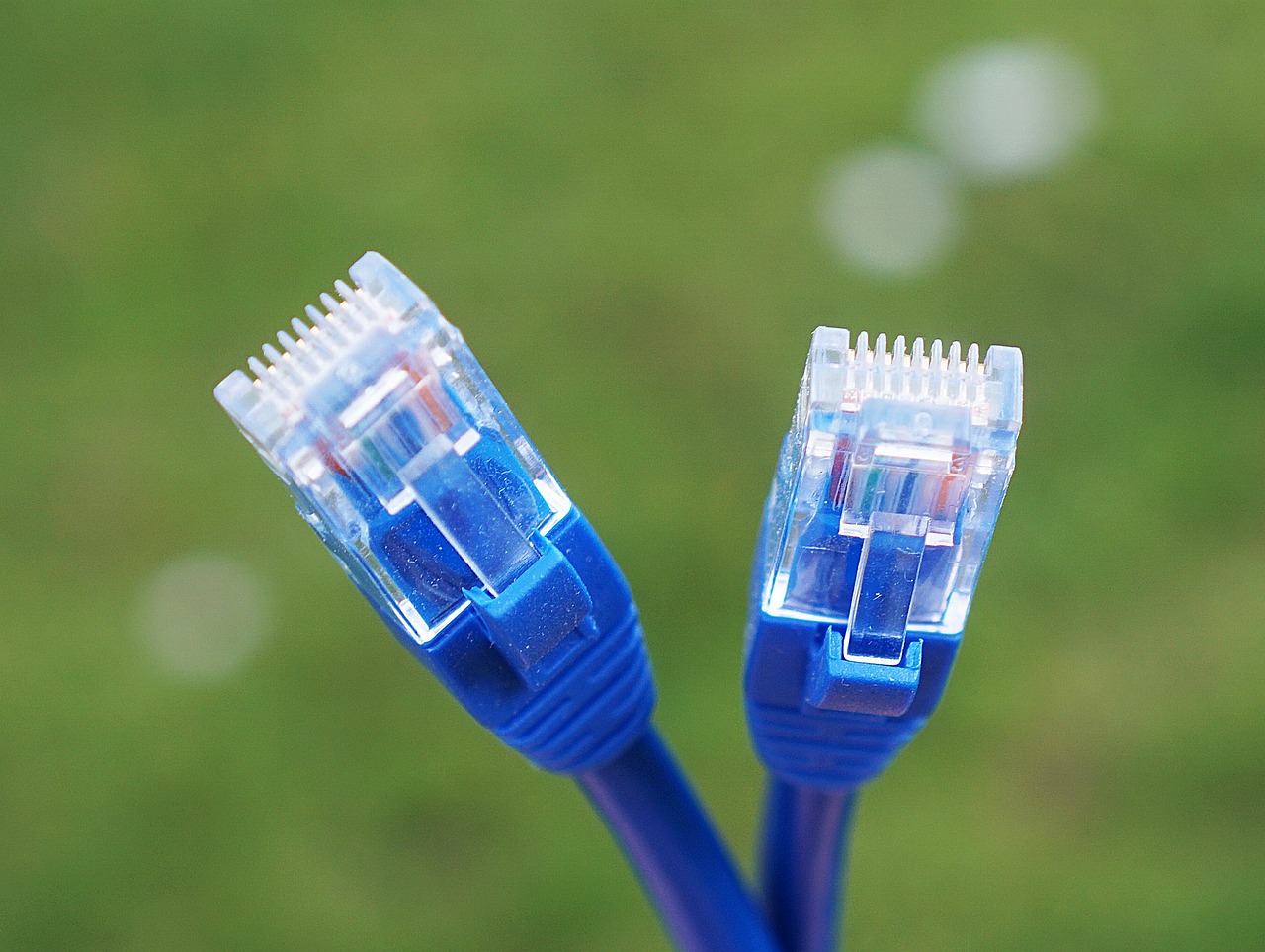 Network Cable Cat6 Cat5 Free photo on Pixabay Pixabay Network Cable Cat6 Cat5 Free photo on Pixabay Pixabay