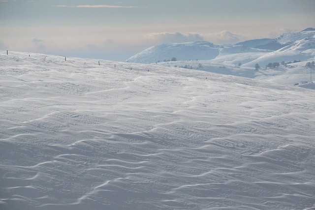 Free Panorama Winter photo and picture