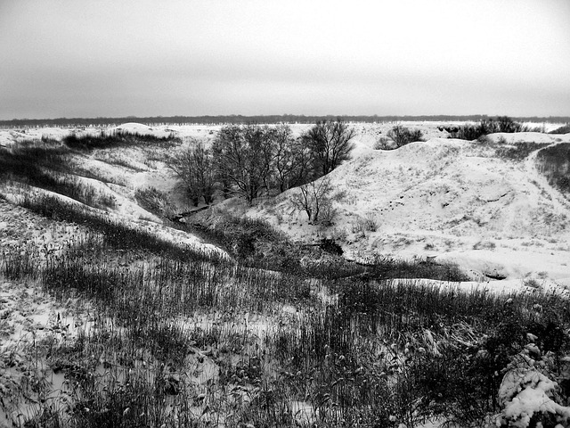Free Winter Day Nature photo and picture