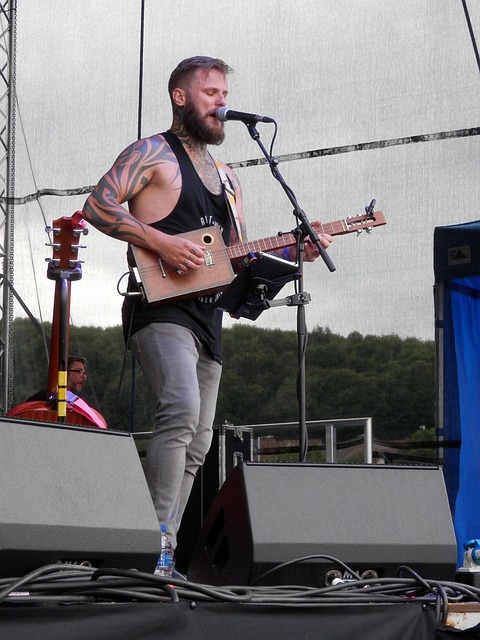 Free Musician Guitarist photo and picture