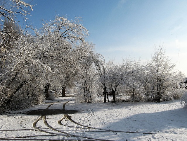 Free Winter Morning photo and picture