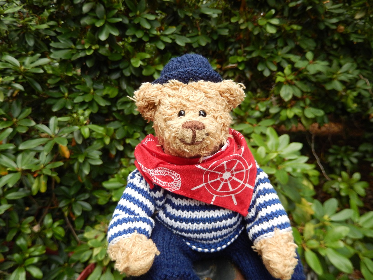 Stuffed Animal Teddy Toy Little - Free photo on Pixabay - Pixabay