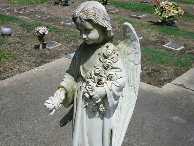 Free Angel Cemetery photo and picture