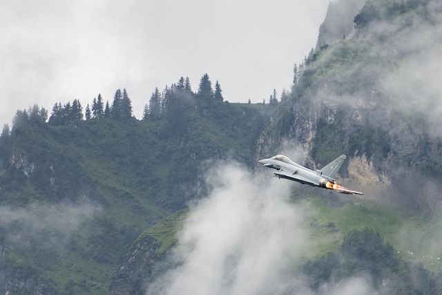 Eurofighter, Avion De Combate, Flugshow