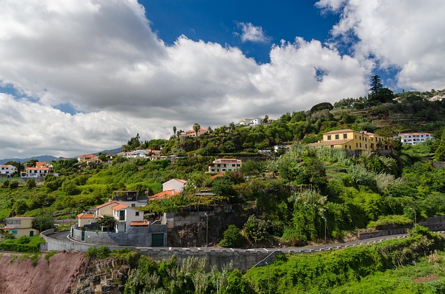 Free Funchal Madeira photo and picture