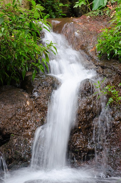 Free Funchal Madeira photo and picture
