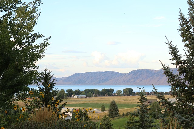 Berge, Ansicht, Bäume, Natur, Landschaft