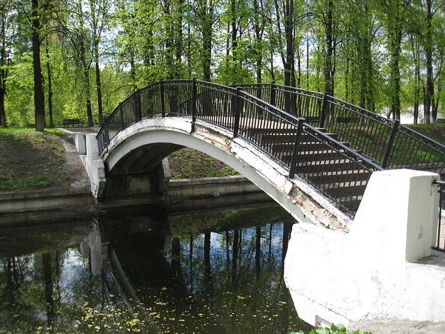 Free Bridge River photo and picture