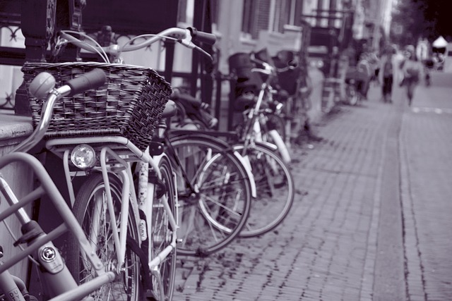 Free Amsterdam Bike photo and picture