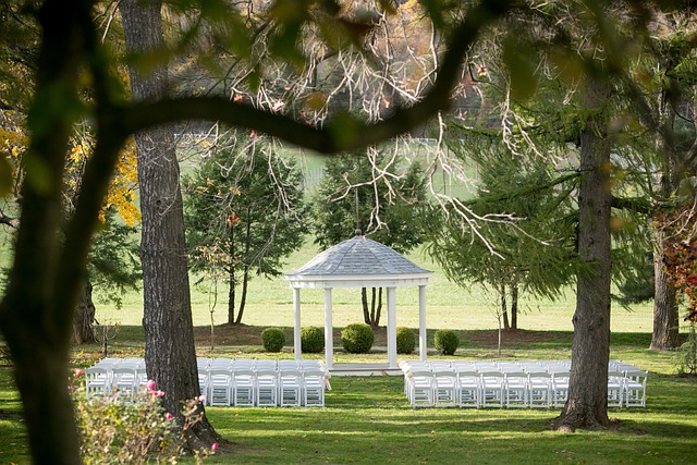 Otoño, Boda, Ceremonia, Paisaje, Sillas