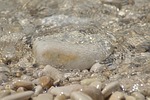 mindfulness, harmony, waves