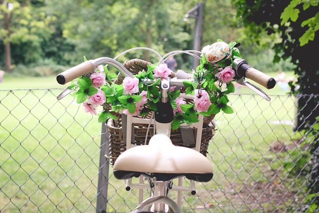Free Bike Flowers photo and picture
