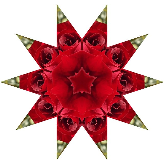 Free rose star mandala illustration