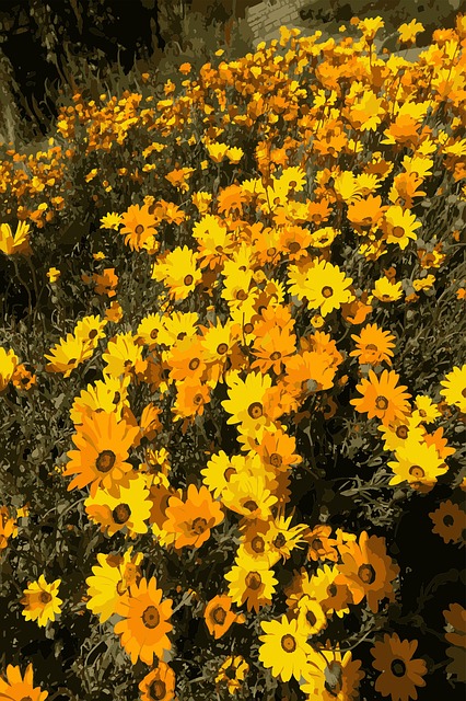 Flores, Jardim, Amarelo, Primavera