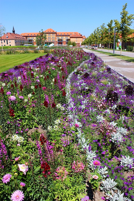 Free Landau State Garden Show Plants photo and picture