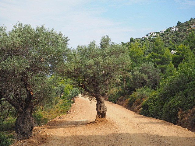 Free Greece Mountains photo and picture