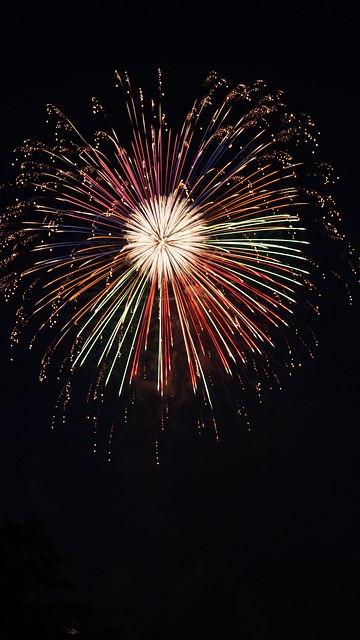 Free Fireworks Summer In Japan photo and picture