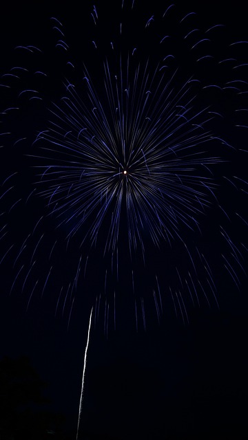 Free Fireworks Summer In Japan photo and picture