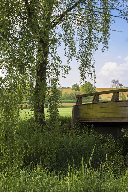 Free Wooden Bridge Bridge photo and picture