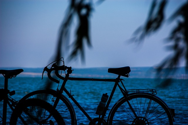 Free Bicycle See photo and picture