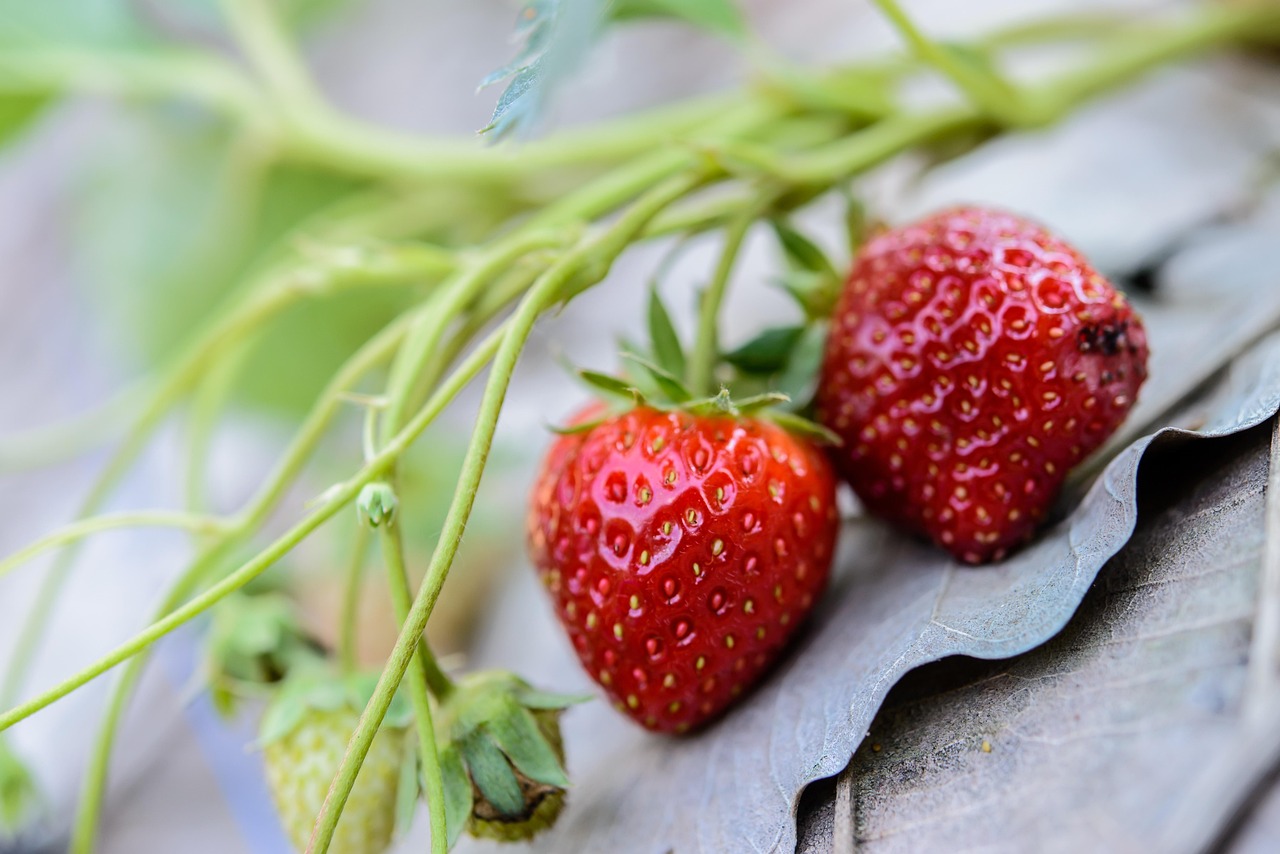 Strawberries - free online jigsaw puzzle photo