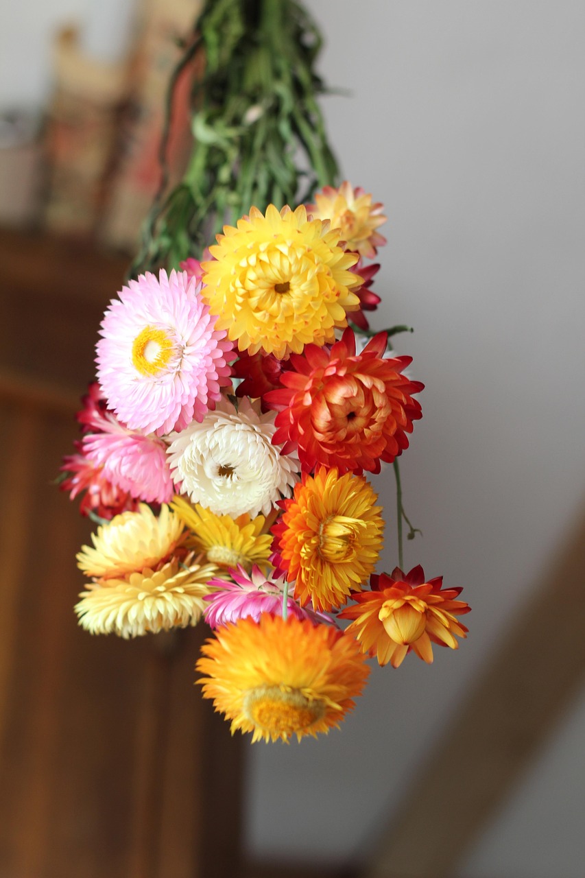 Blumen Herbst Trockenblumen Kostenloses Foto auf Pixabay Pixabay