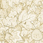 background, leaves, semitransparent