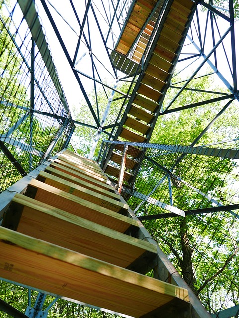 Free Growth Stairs photo and picture