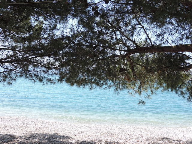 Free Croatia Stone Beach photo and picture
