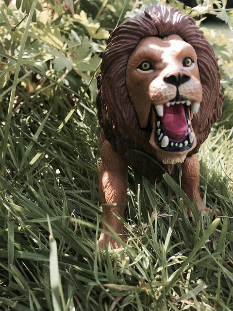 Free Lion Toy photo and picture