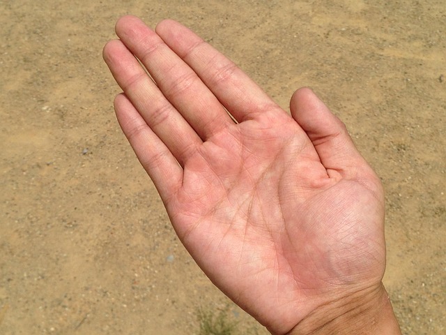 Free Palm Hand photo and picture