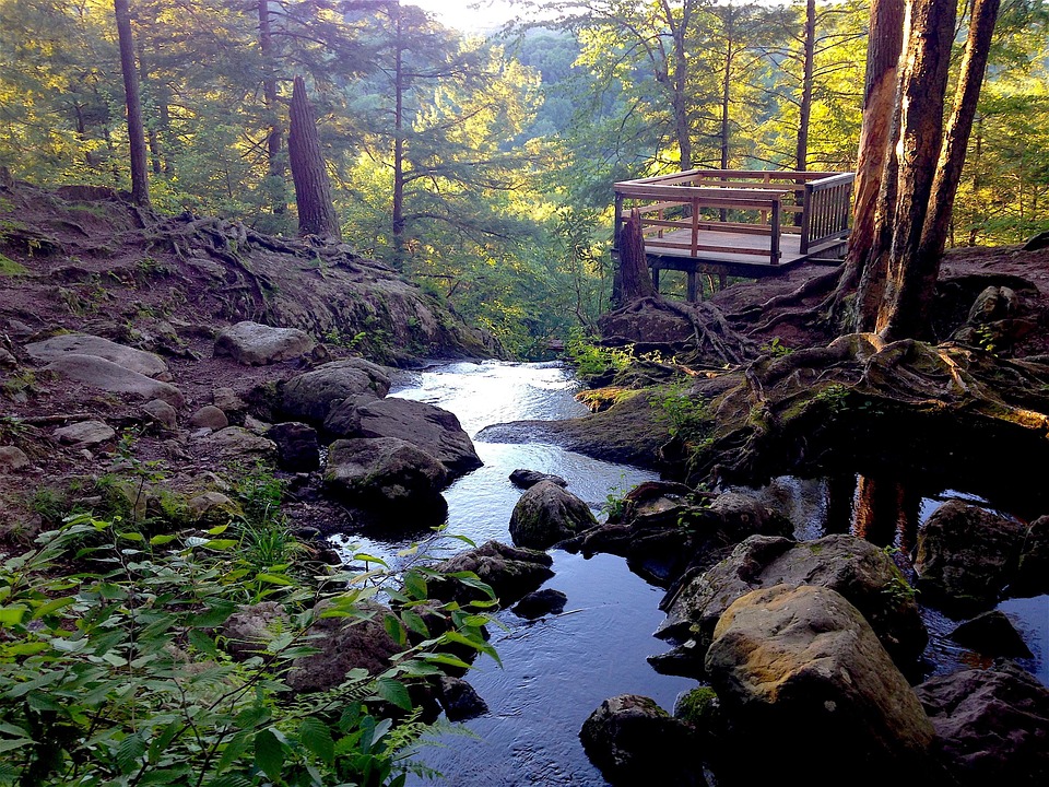 Buttermilk Falls New Jersey Forest Free photo on Pixabay Pixabay