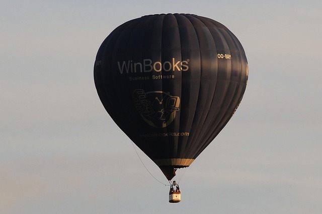 Free Hot Air Balloon Ball photo and picture