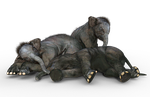 elephant, baby elephant, african bush elephant